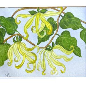 PAINTING WATERCOLOR 11X14 & MAT 16X20 FLOWERS YLANG YLANG YELLOW GREEN ORIGINAL